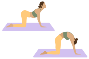 Katze Kuh Asana zur Entgiftung Yoga Übungen zur Entgiftung