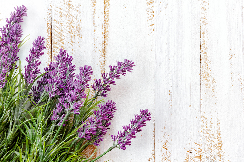 Entspannen und besser schlafen dank Lavendel
